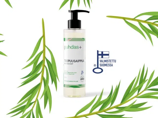 Teepuuöljy – Luonnonlahja epäpuhtaan ihon hoitoon - Puhdas+