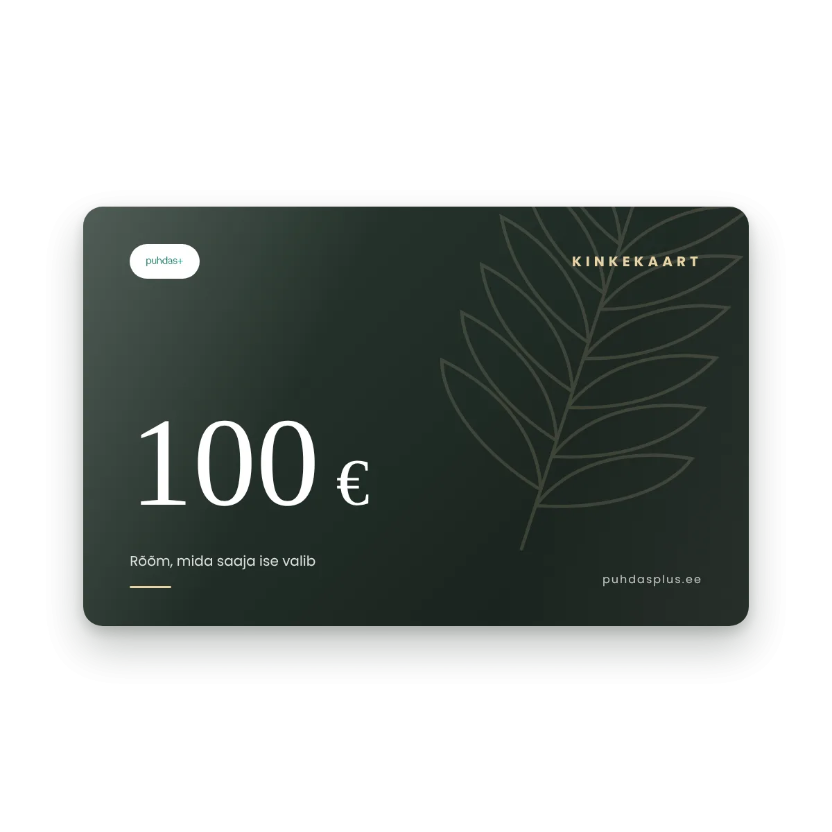 Puhdas+ kinkekaart 100 €